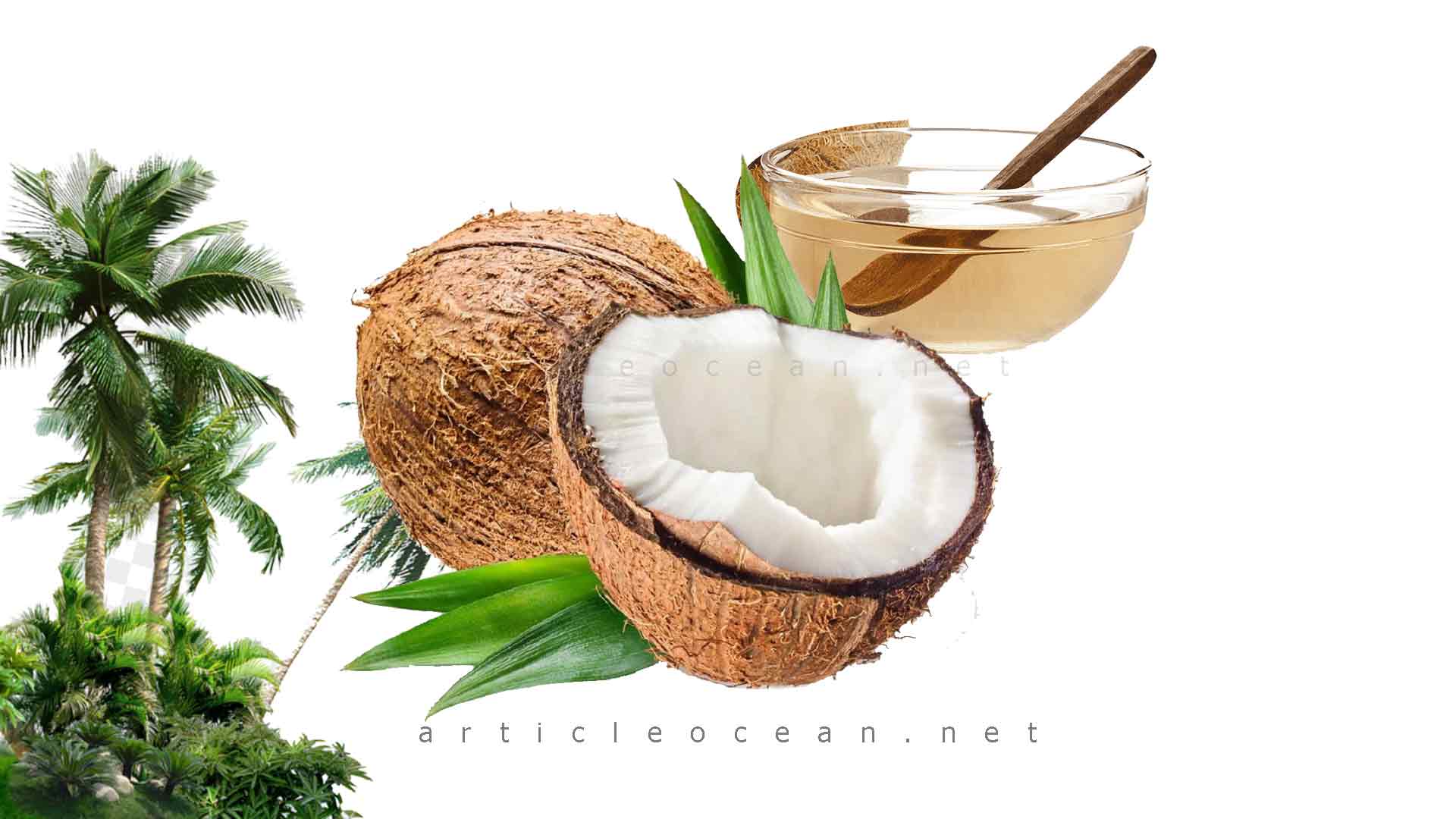 10 Amazing Health Benefits of Coconut Oil